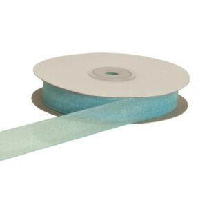 E0613 Nastro organza cielo 6mm50mt
