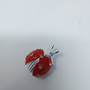 COCCINELLA CON STRASS