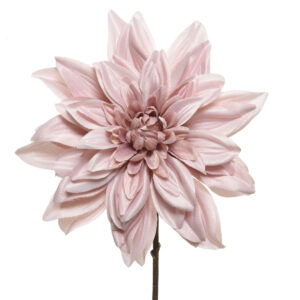 Dahilia Blush Pink