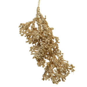 Ramo Bacca Gold