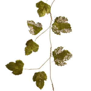 Garland Moss Green