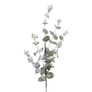 Berry Spray WGlit WoolWhite