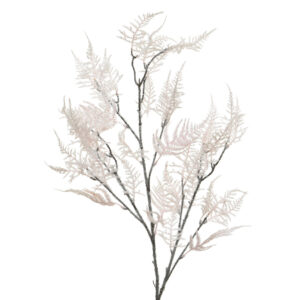 Asparagus Spray BlushPink