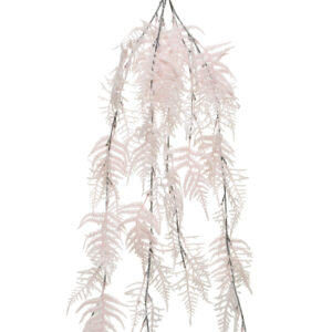 Asparagus Hanging BlushPink