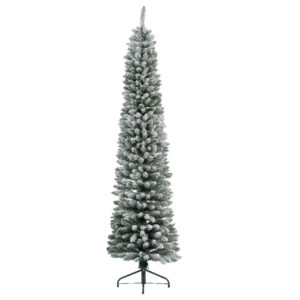 Pencil Pine 180CM