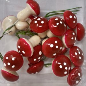 Pacco funghetti red