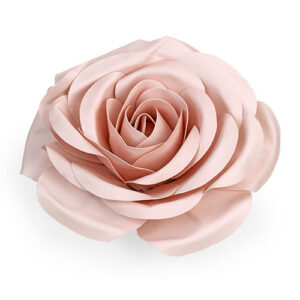 Rosa M.