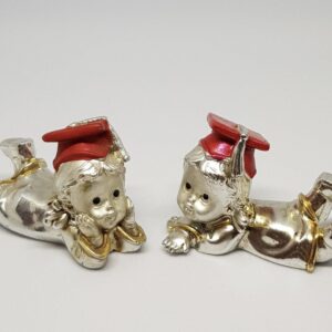 Bimba laurea argentata