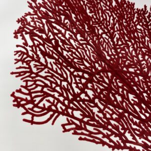 Corallo rosso