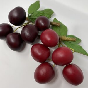 Prugne assortite
