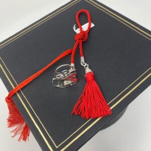 bomboniera laurea microfusione dottorato cnappina