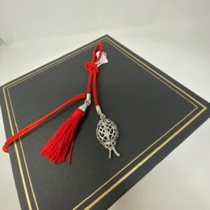 bomboniera laurea microfusione coccinella cnappa